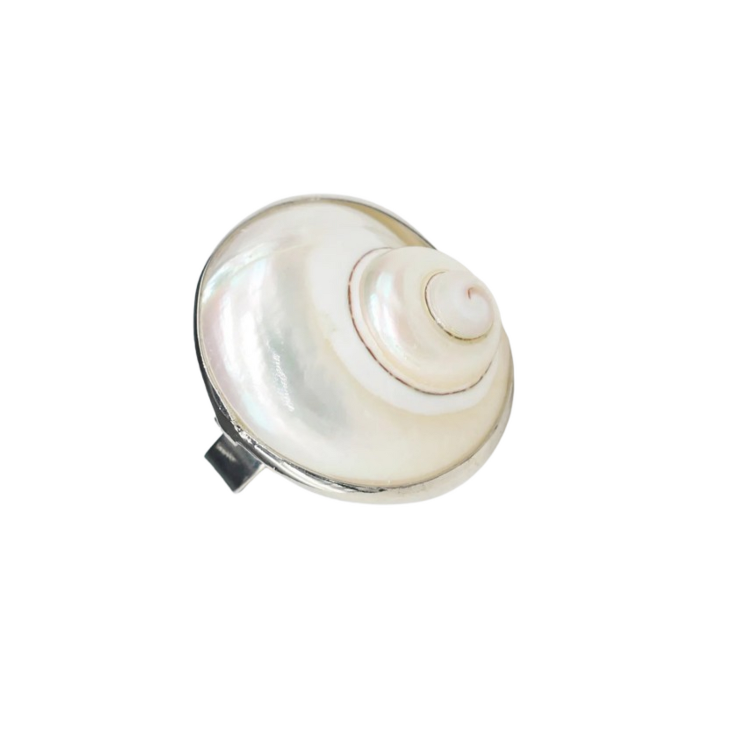 Shell