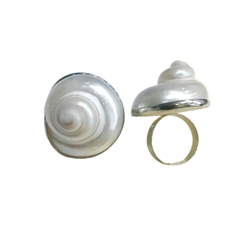 Shell